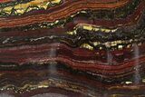 Polished Tiger Iron Stromatolite Slab - Billion Years #351893-1